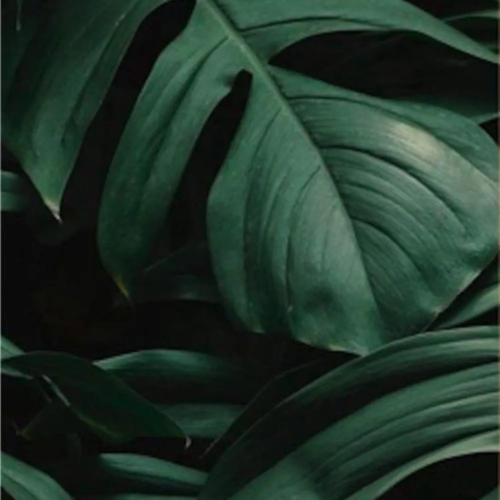 Kontakt Elemente Restaurant Westfield hamburg