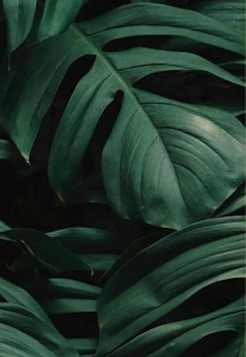 Elemente Südamerikanisches Restaurant Hamburg